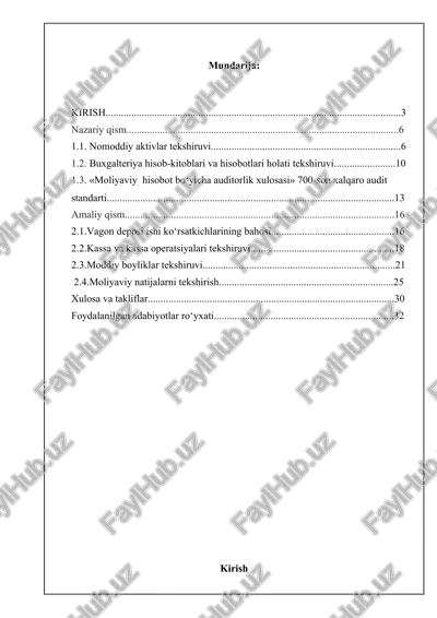 moliyaviy hisobot bo‘yicha auditorlik xulosasi — DOCX