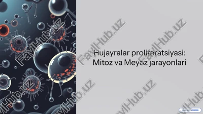 hujayralar proliferatsiyasi: mitoz va meyoz jarayonlari — PPTX