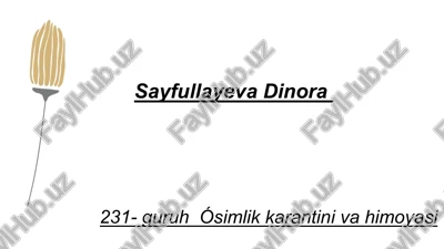 qishloqxoʻjalik ekinturlari boʻyicha ma'lumotlar bazasini tuzish — PPTX