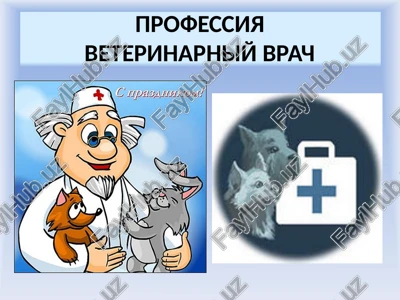 veterinarniy vrach — PPTX