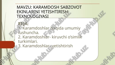 gulnazariyasi — PPTX
