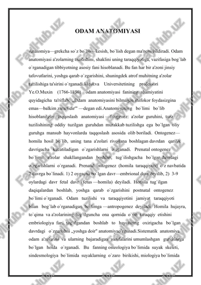 odam anatomiyasi — DOCX