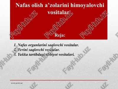 nafas organlarini saqlovchi vositalar — PPT