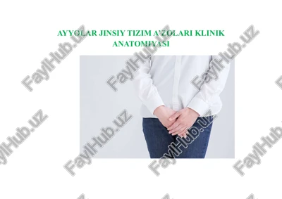 ayyolar jinsiy tizim a’zolari klinik anatomiyasi — PDF