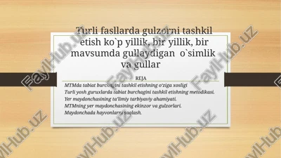 mtm databiat burchagini tashkilotish — PPTX