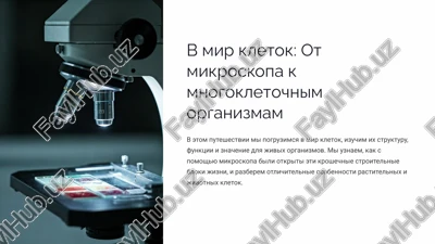 v mir kletok: ot mikroskopa k mnogokletochnim organizmam — PPTX