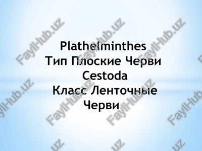 diphyllobothrium latum — PPTX
