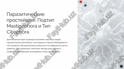 paraziticheskie prosteyshie: podtip mastigophora i tip ciliophora — PPTX