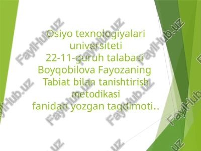 didaktika-ta'limnazariyasi — PPTX