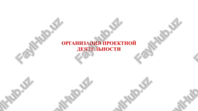 organizatsiya proektnoy deyatelnosti — PPTX