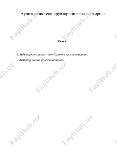 аудиторлик текширувларини режалаштириш — DOC