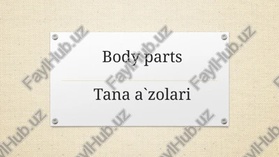 body partstanaa`zolari — PPTX