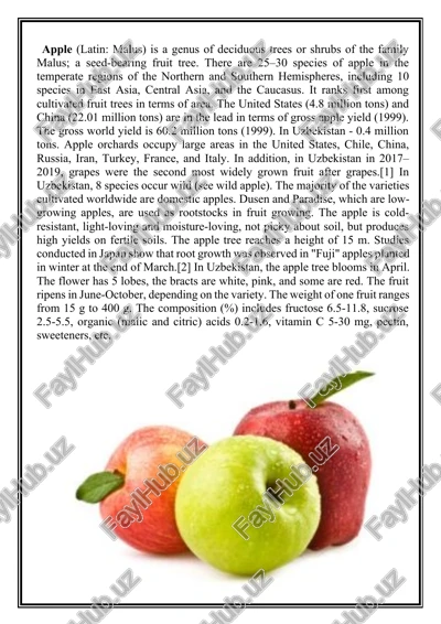 apple (malus) — DOCX