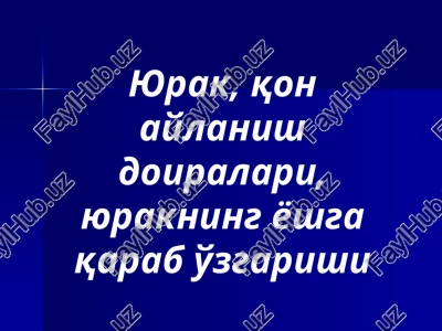 yurak (cor)qon aylanish sistemasining markaziy a'zosi — PPTX