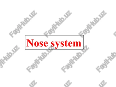 nose system — PPT