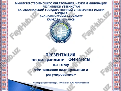 finansovoe planirovanie i regulirovanie — PPT