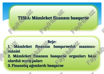 mámleket finansınbasqarıw — PPTX