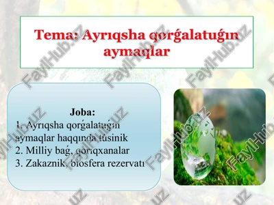 ayrıqsha qorǵalatuǵın aymaqlar — PPTX