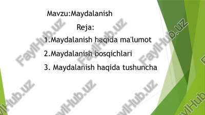 maydalanish — PPTX