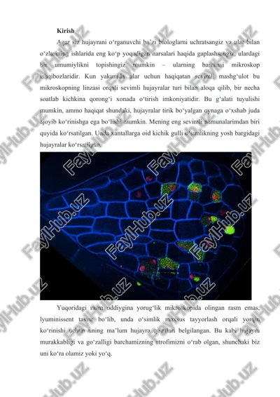 mikroskop bilan biologiya o'rganish — DOC