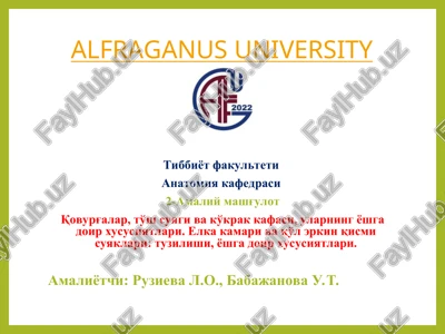 to'sh suyagi, qovurg'alar, ko'krak qafasi anatomiyasi — PPT