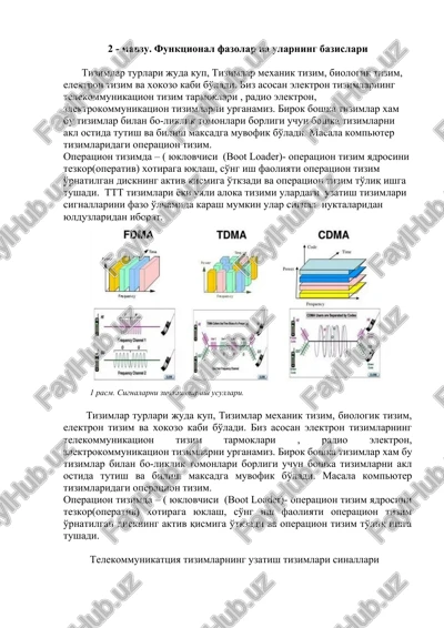 funktsional fazolar va ularning bazislari — DOCX