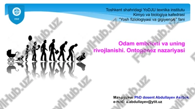 odam embrionining rivojlanishi. ontogenez nazariyasi — PPTX