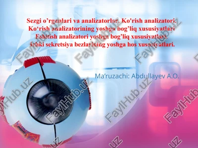 sezgio’rganlarivaanalizatorlar — PPTX
