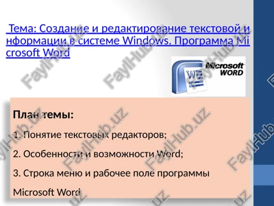programma microsoft word — PPTX