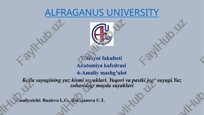 kallasuyagining yuz kismi suyaklari — PPTX