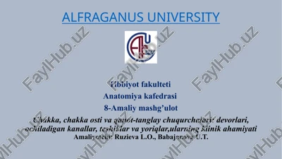 chakka, chakka ostiv aqanot-tanglay chuqurchalari — PPTX
