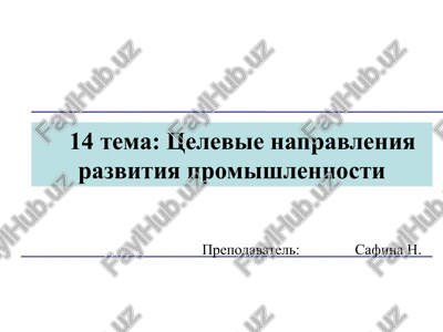 tselevie napravleniya razvitiya promishlennosti — PPTX
