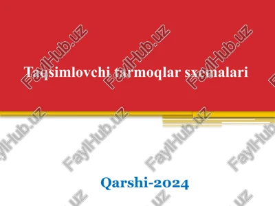 taqsimlovchi tarmoqlar sxemalari — PPTX