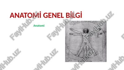 anatomi̇ genel bi̇lgi̇ — PPTX
