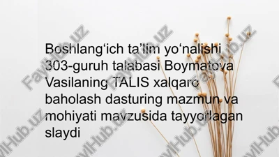 talis xalqaro baholash dasturi — PPTX