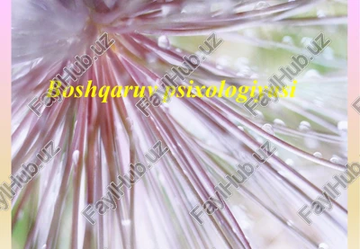 boshqaruv psixologiyasi — PPTX