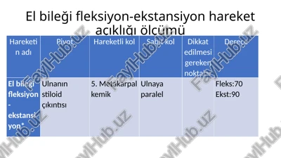 el bileği fleksiyon-ekstansiyon hareket açıklığı ölçümü — PPTX