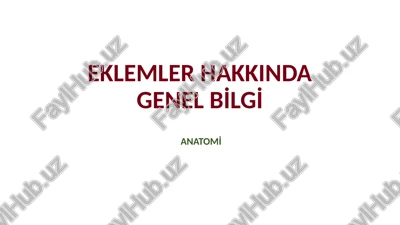 eklemler hakkında genel bilgi — PPTX