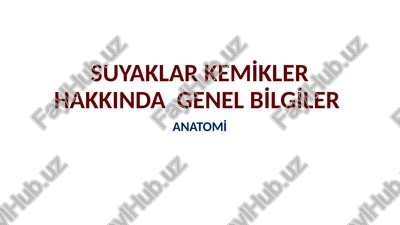 suyaklar kemi̇kler hakkinda genel bi̇lgi̇ler — PPTX