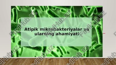 basi mikrobakteriyalar va ularning ahamiyati — PPTX