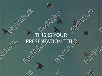 instructions for use — PPTX
