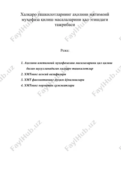 халқаро ташкилотларнинг аҳолини ижтимоий муҳофаза қилиш масалаларини ҳал этишдаги тажрибаси — DOC