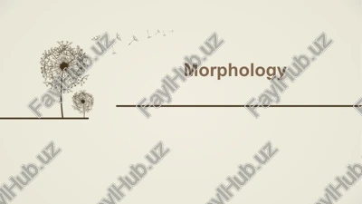 morphology — PPTX