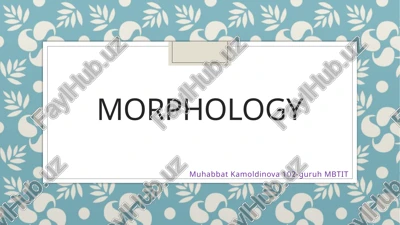 morphology — PPTX