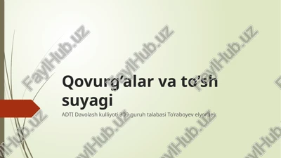 qovurg’alar — PPTX