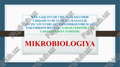 rnk saqlochi viruslar — PPTX