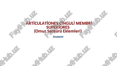 arti̇culati̇ones ci̇nguli̇ membri̇ superi̇ores(omuzsentürüeklemleri) — PPTX