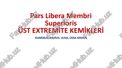 parsliberamembrisuperiorisüst extremi̇te kemi̇kleri̇ — PPTX