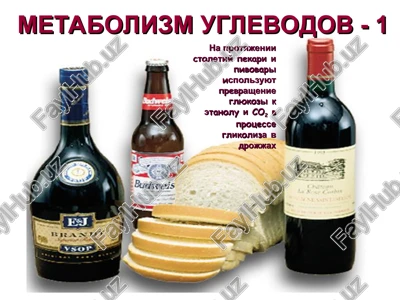 glikoliz - metabolicheskiy put — PPT