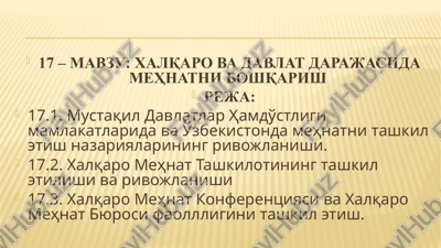 xalqaro va davlat daraҷasida mexnatni boshqarish — PPTX